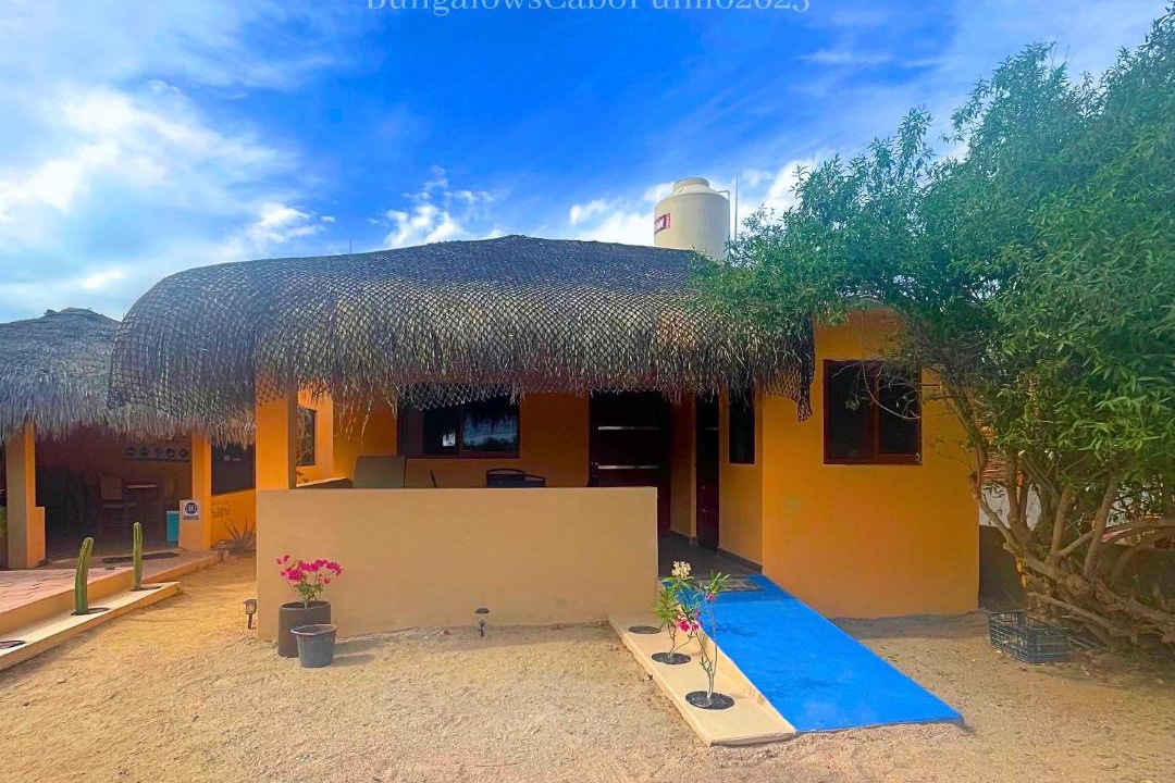 Photo of Others in Cabo Pulmo
