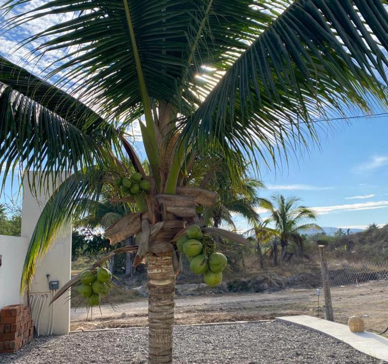 Photo of Others in Perula