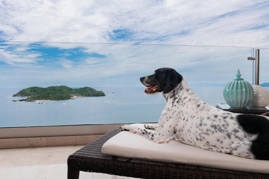 Photo of Others in Ixtapa