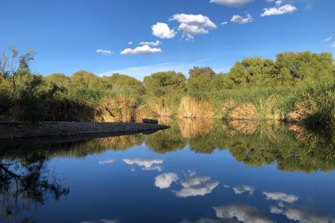 Photo of Others in Pabellon de Arteaga