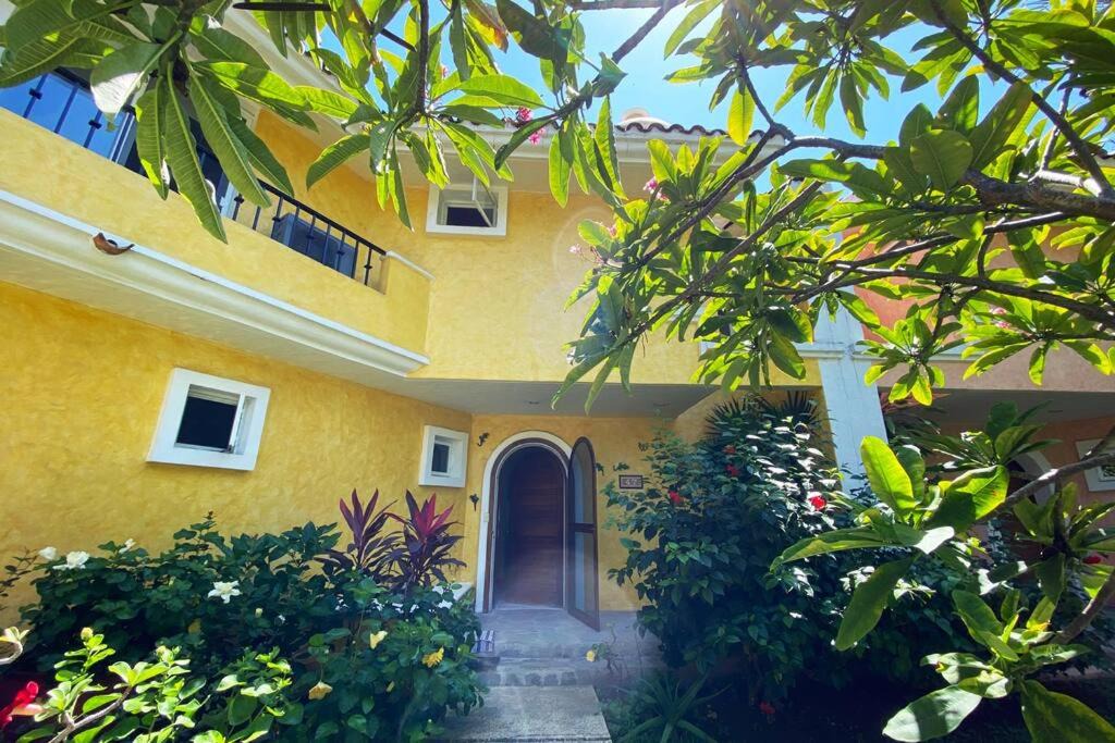 Photo of Buildings in Ixtapa