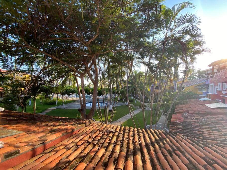 Photo of Others in Ixtapa