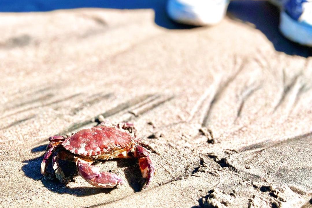 Photo of Others in Playas de Rosarito