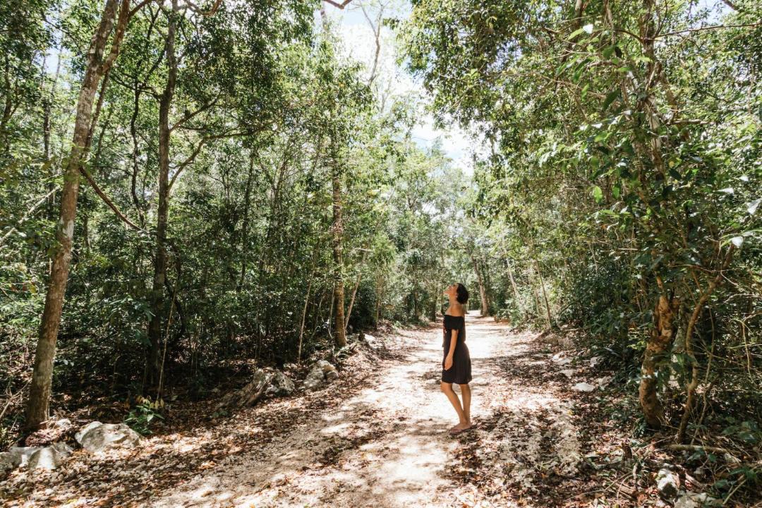 Photo of Others in Tulum