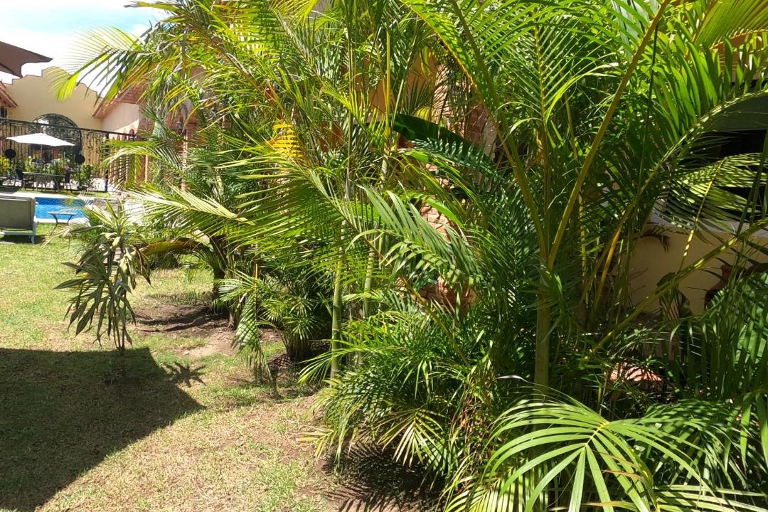 Photo of Others in Ajijic