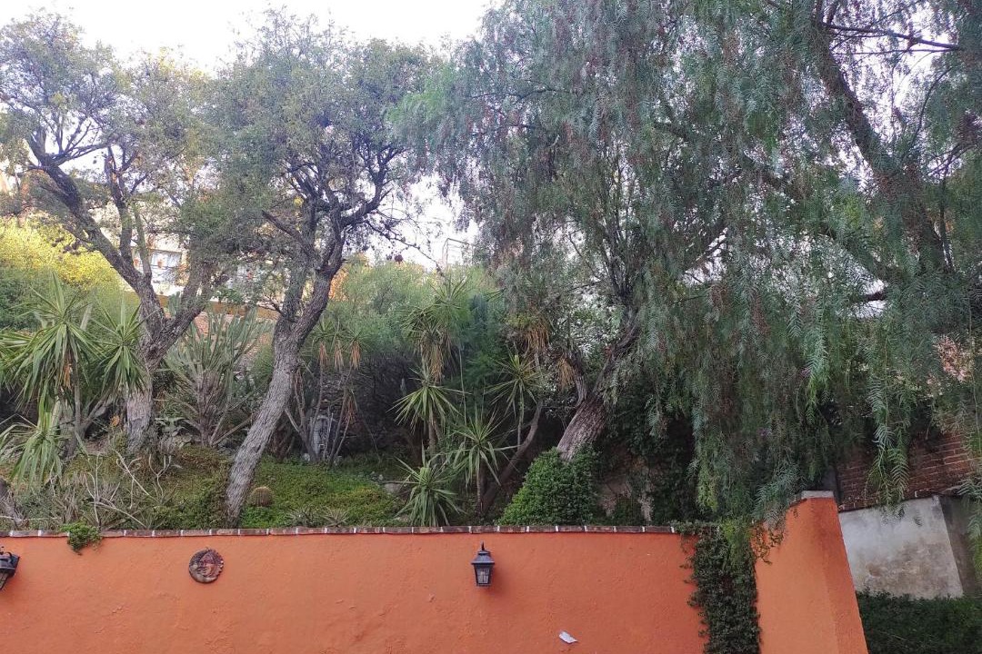 Photo of Others in Colonia San Antonio