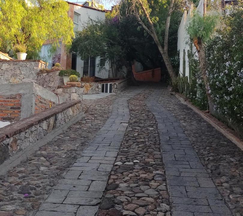 Photo of Others in Colonia San Antonio
