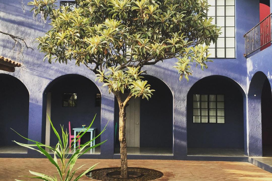 Photo of Buildings in Luis Jimenez Figueroa