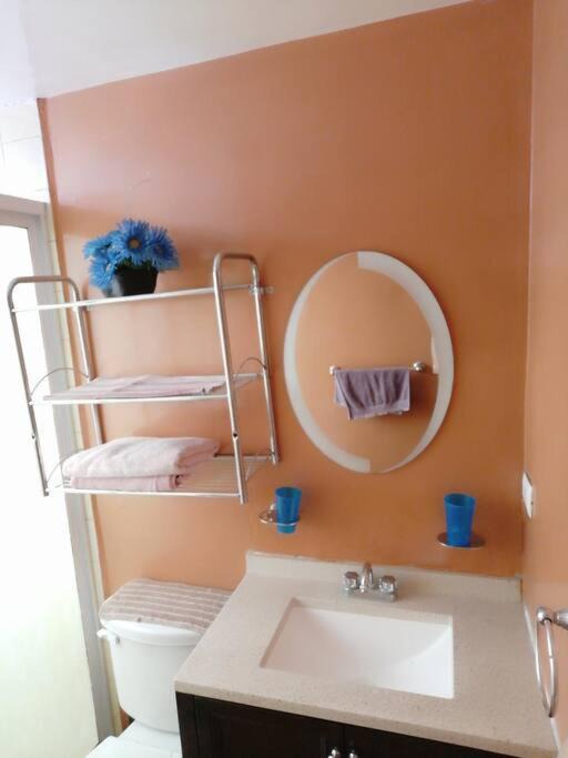 Photo of Bathroom in Puebla