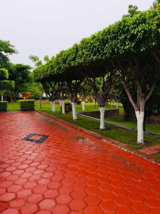 Photo of Others in Acatlan
