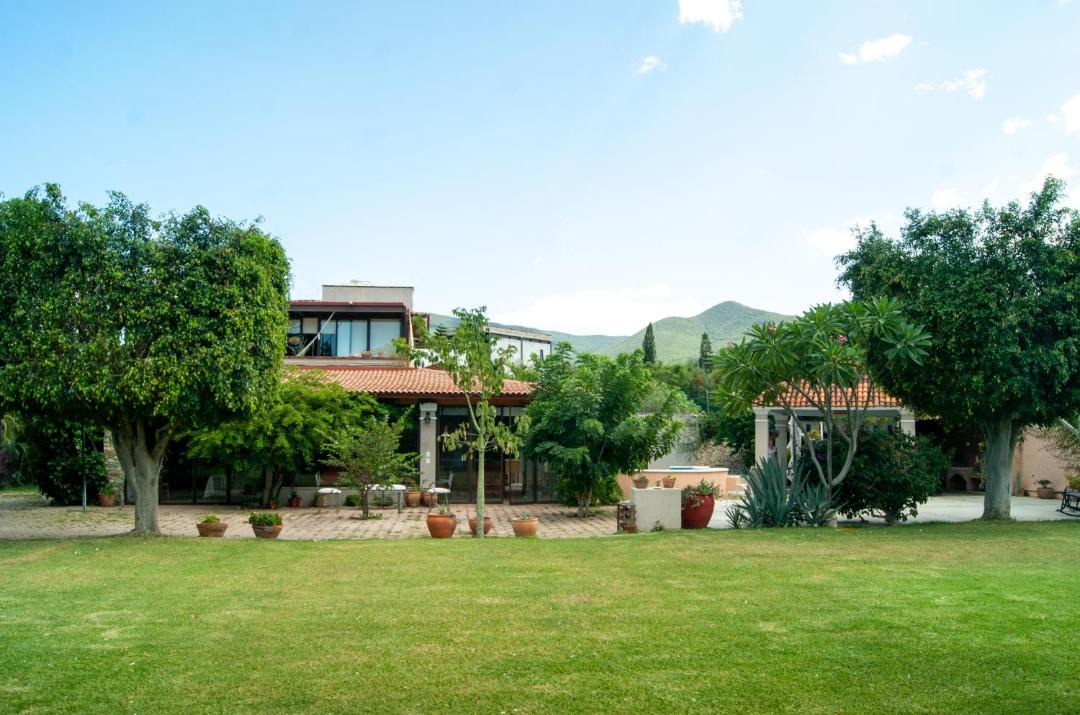 Photo of Others in Oaxaca