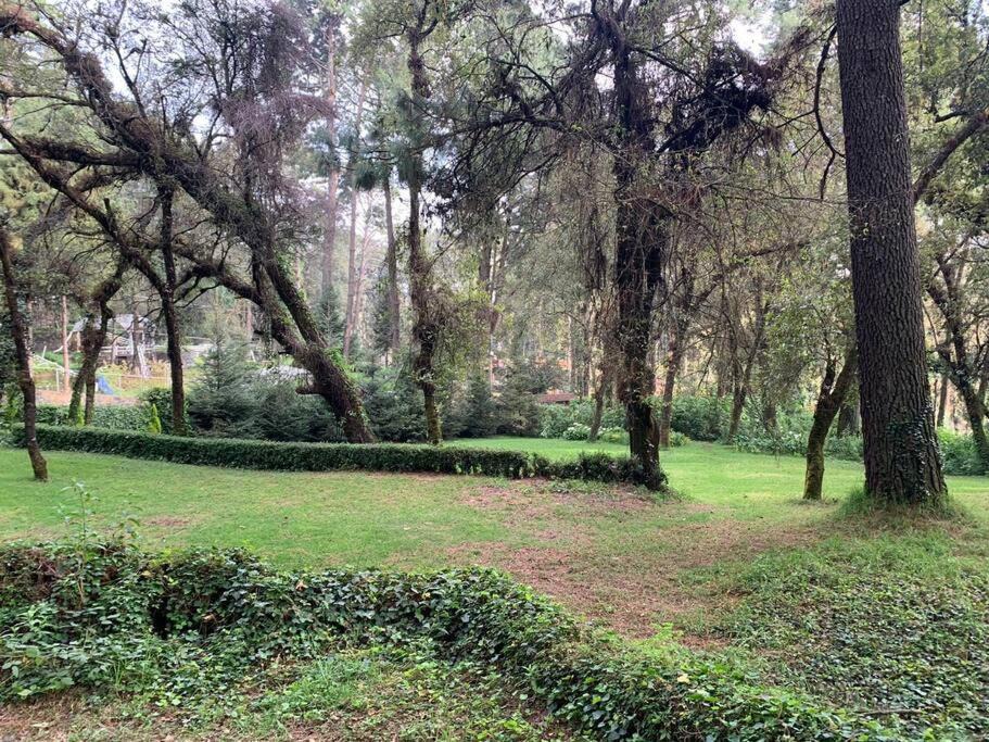 Photo of Outdoor in Huitzilac