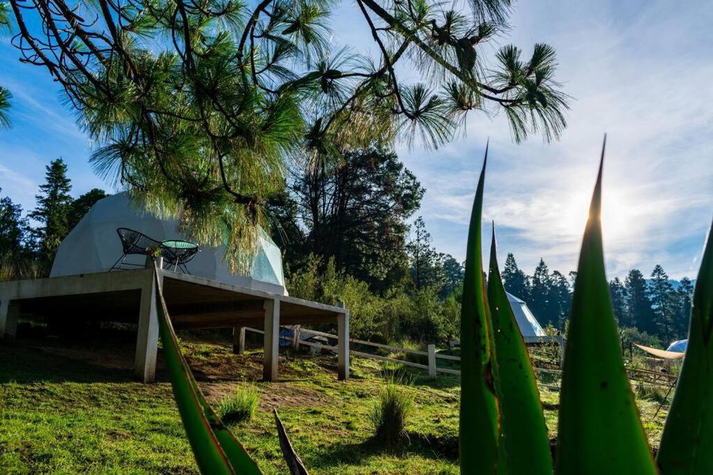 Photo of Others in Ocoyoacac