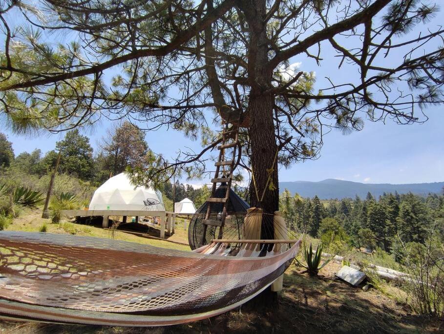 Photo of Others in Ocoyoacac