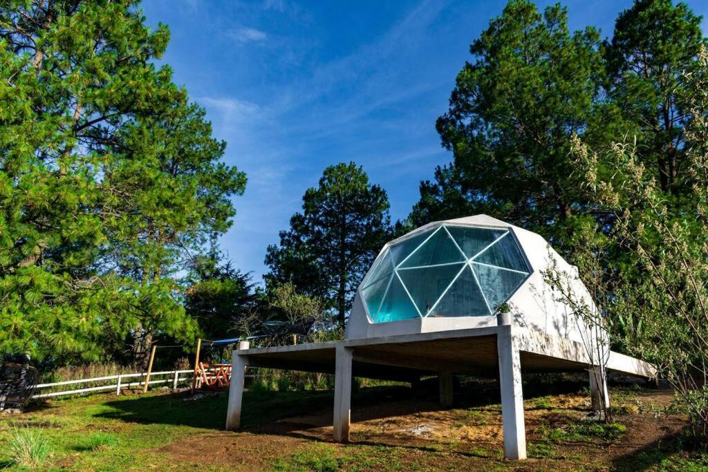 Photo of Others in Ocoyoacac