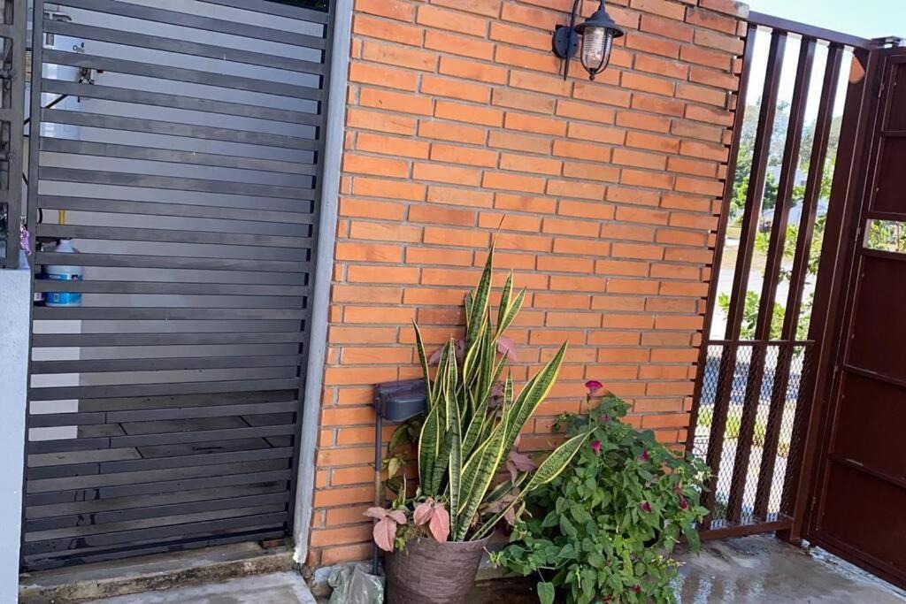 Photo of Buildings in Colima