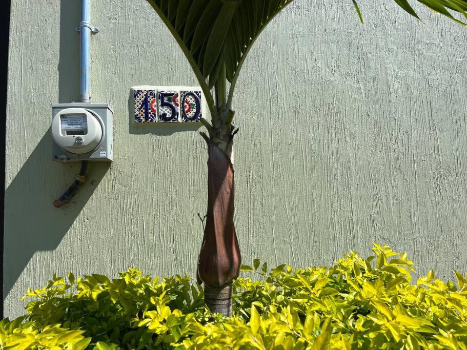 Photo of Buildings in San Pedro Tesistan