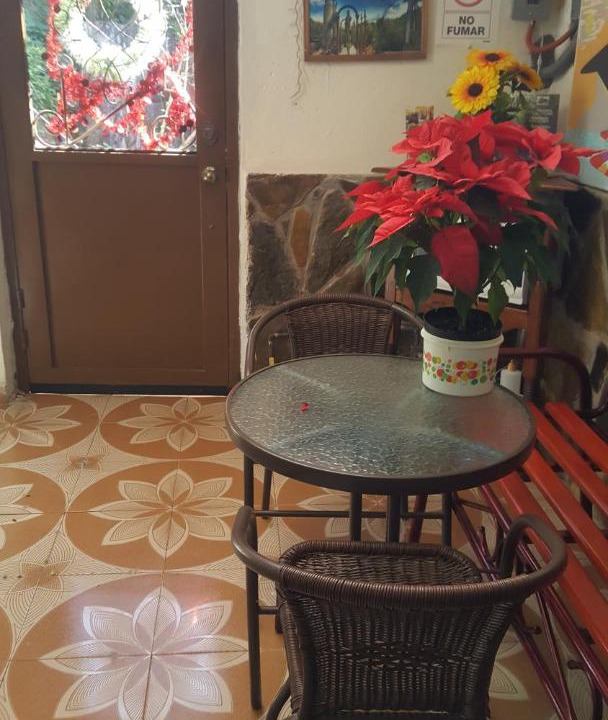 Photo of Livingroom in Xilitla