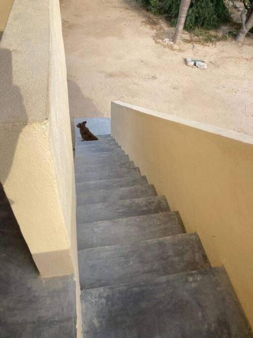 Photo of Others in La Ventana