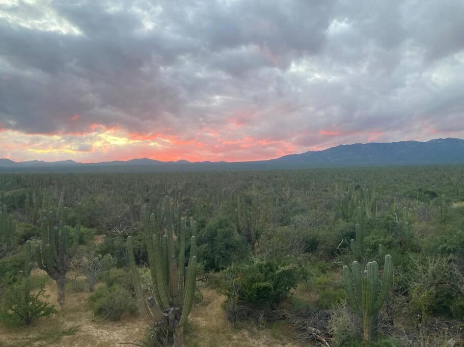 Photo of Outdoor in La Ventana