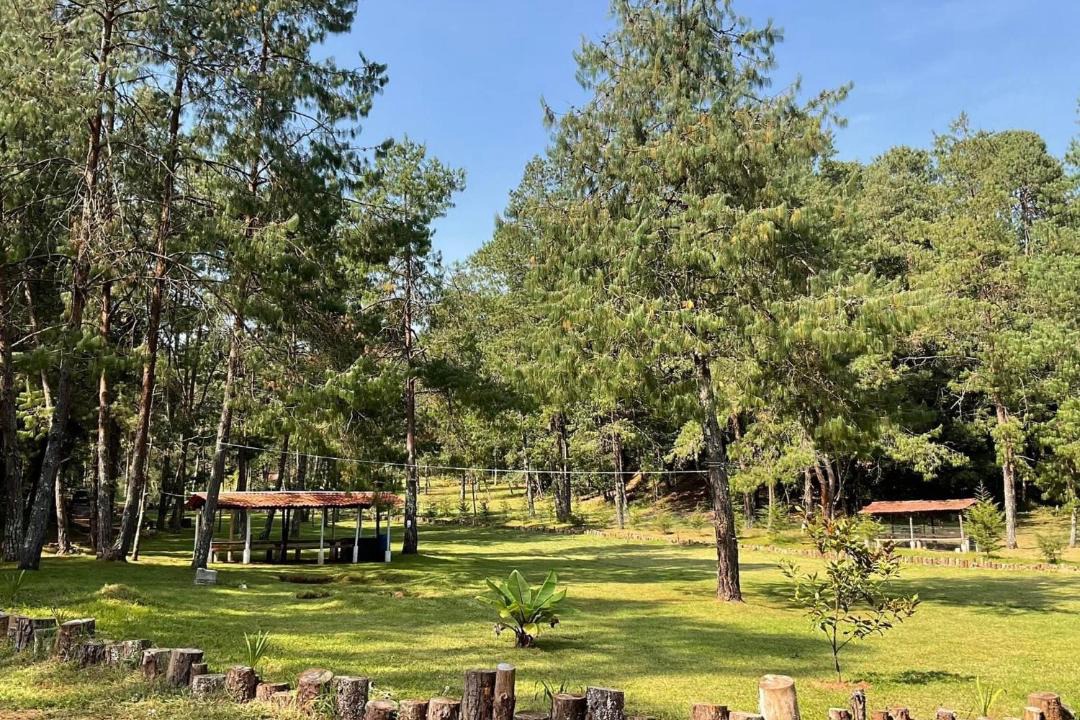 Photo of Outdoor in Acaxochitlan