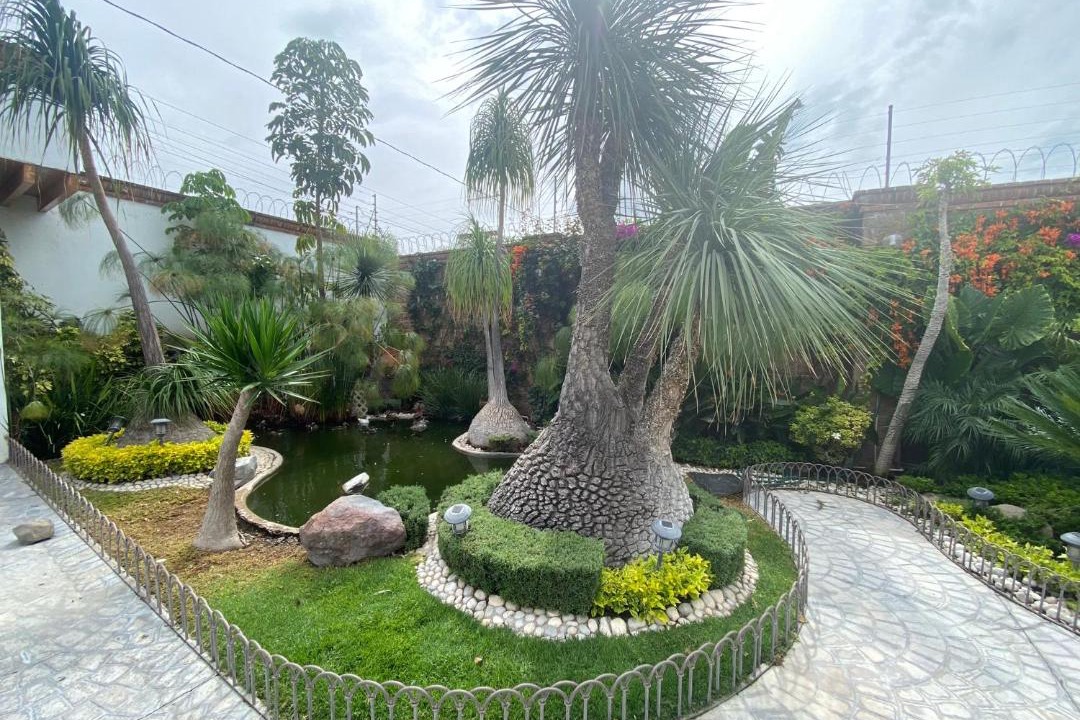 Photo of Others in Atlixco