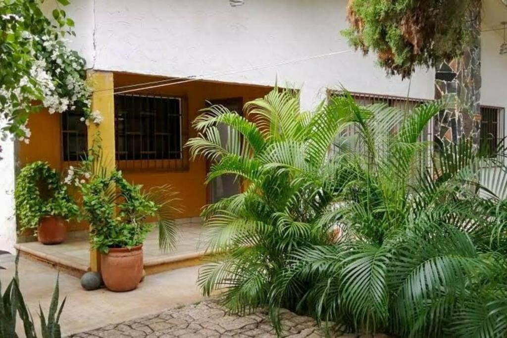 Photo of Buildings in San Jose Ixtapa
