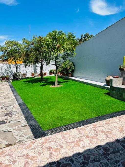 Photo of Others in Chapala