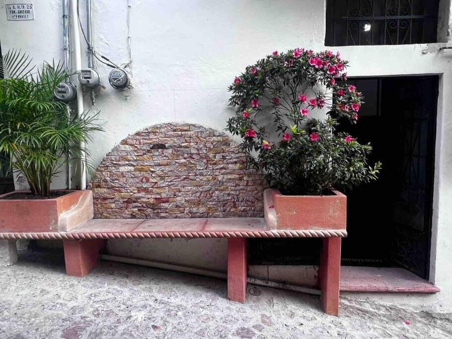 Photo of Others in Taxco