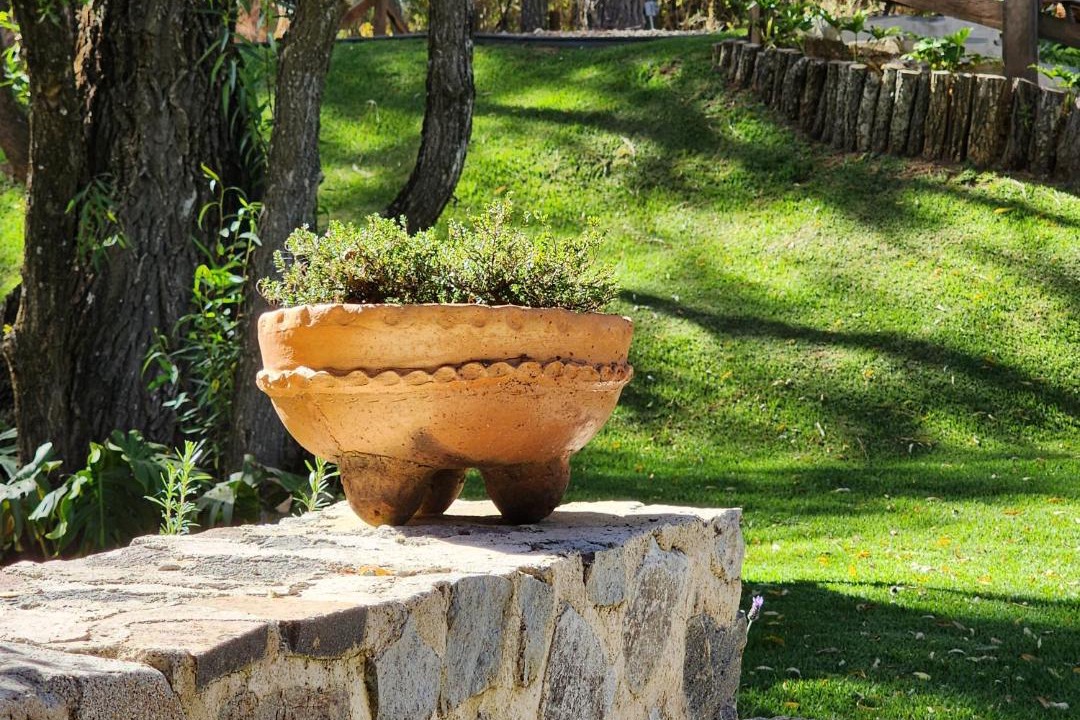 Photo of Others in Tapalpa