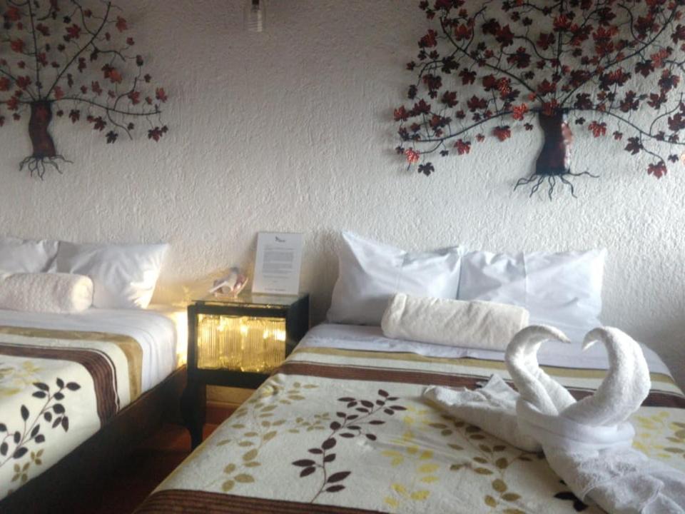 Photo of Others in Tequisquiapan