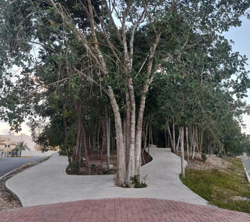 Photo of Outdoor in Cancun