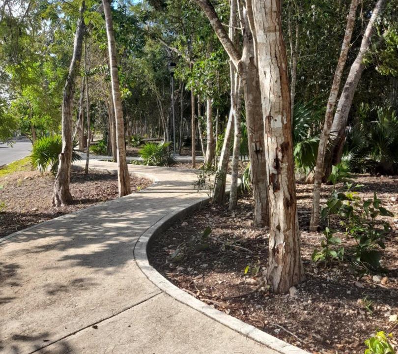 Photo of Outdoor in Cancun
