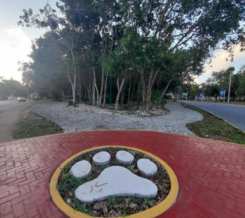 Photo of Others in Cancun