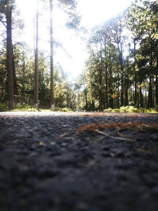 Photo of Outdoor in Tlaxcala