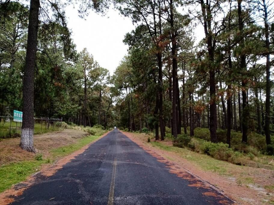 Photo of Outdoor in Tlaxcala