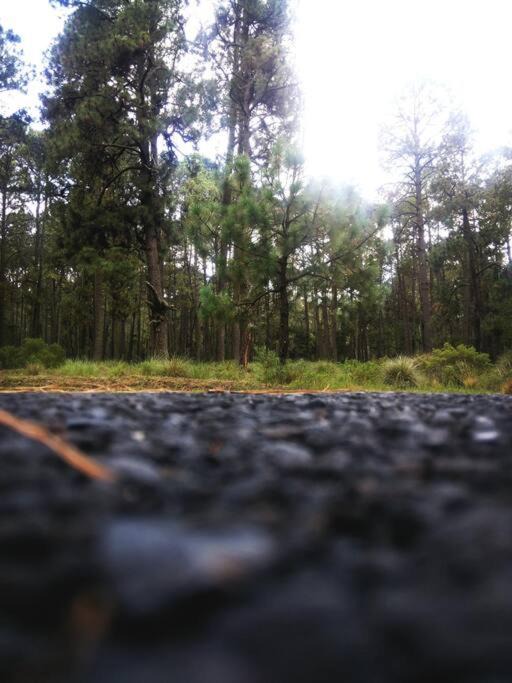 Photo of Outdoor in Tlaxcala
