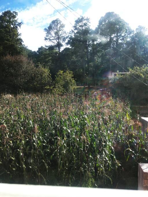 Photo of Outdoor in Tlaxcala