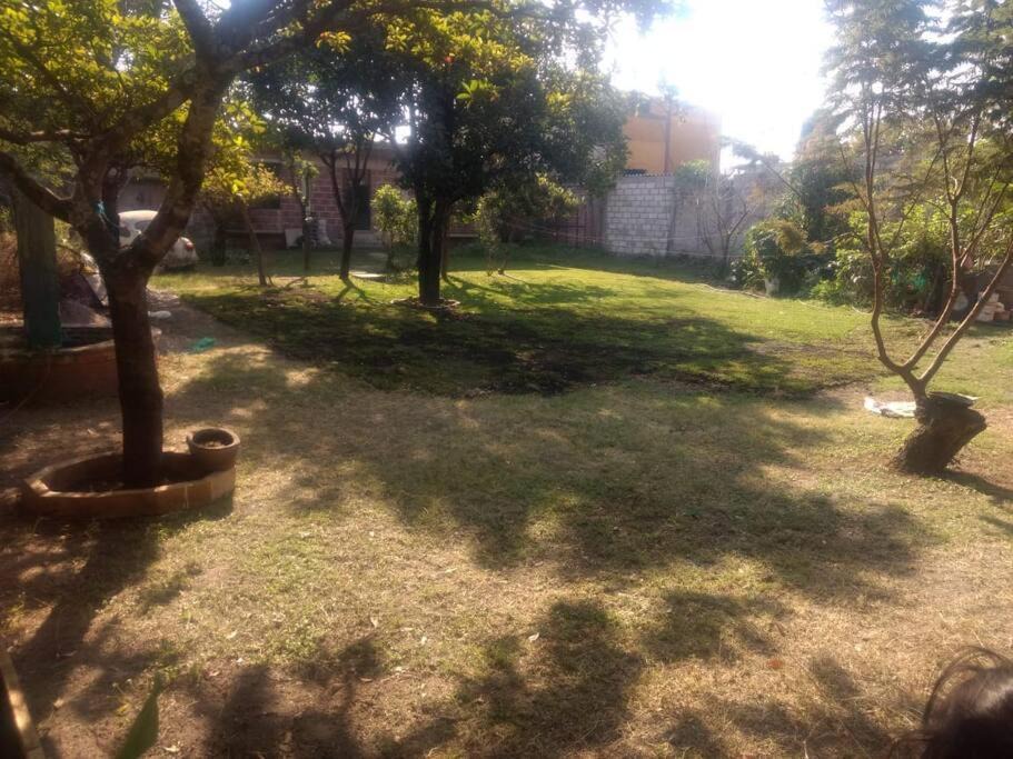 Photo of Outdoor in Ayala