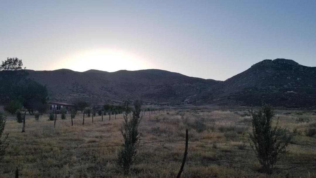 Photo of Others in Valle de Guadalupe