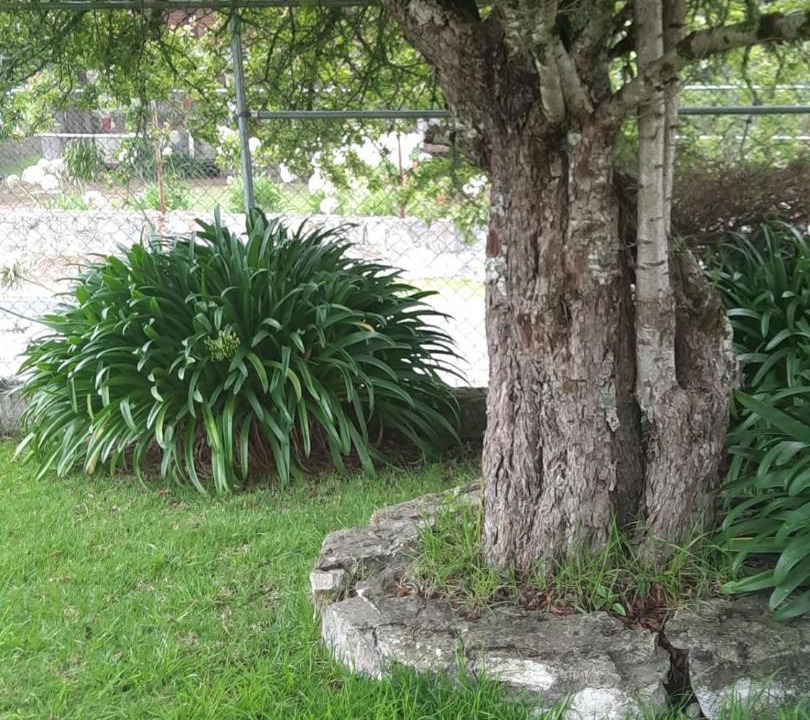 Photo of Others in Mineral del Monte