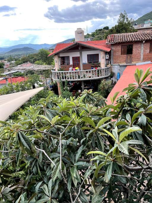 Photo of Buildings in Teotitlan del Valle