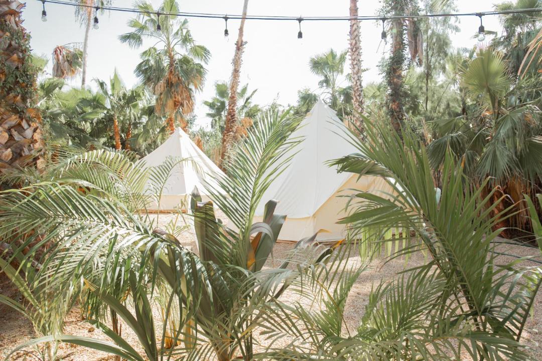 Photo of Others in Todos Santos