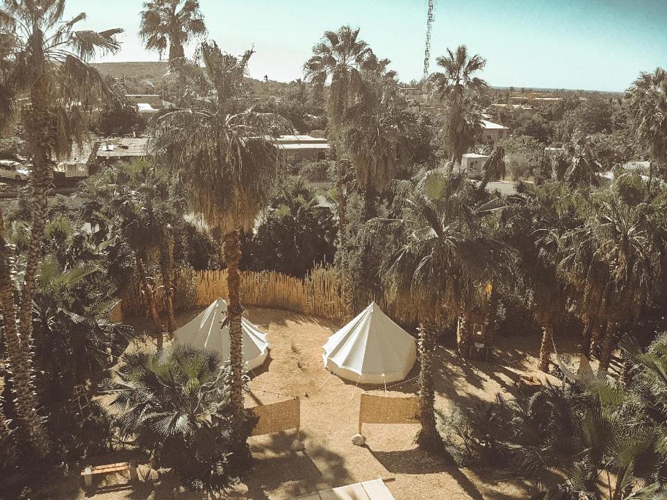 Photo of Others in Todos Santos