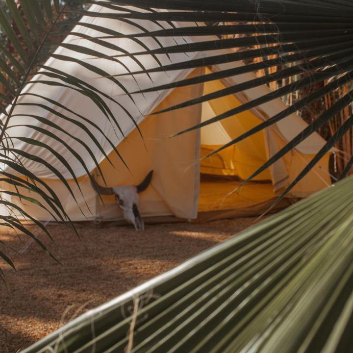 Photo of Others in Todos Santos