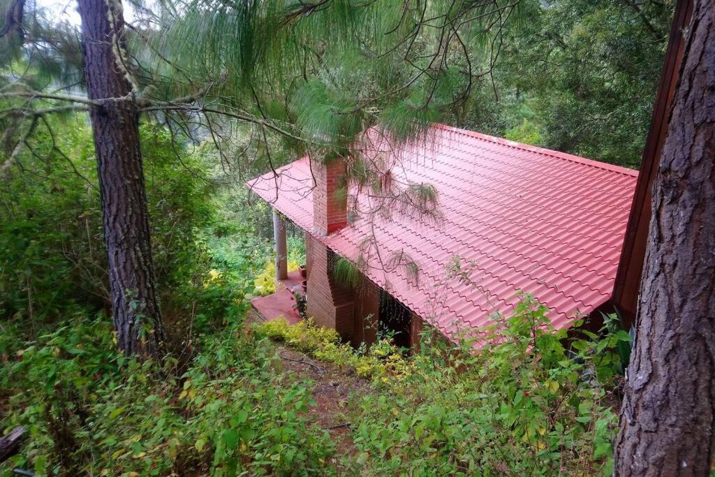 Photo of Others in San Jose del Pacifico