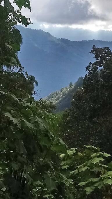 Photo of Outdoor in San Jose del Pacifico