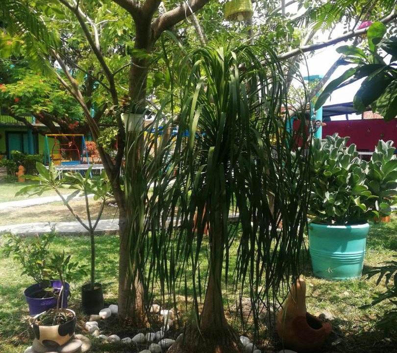 Photo of Outdoor in Tlayacapan