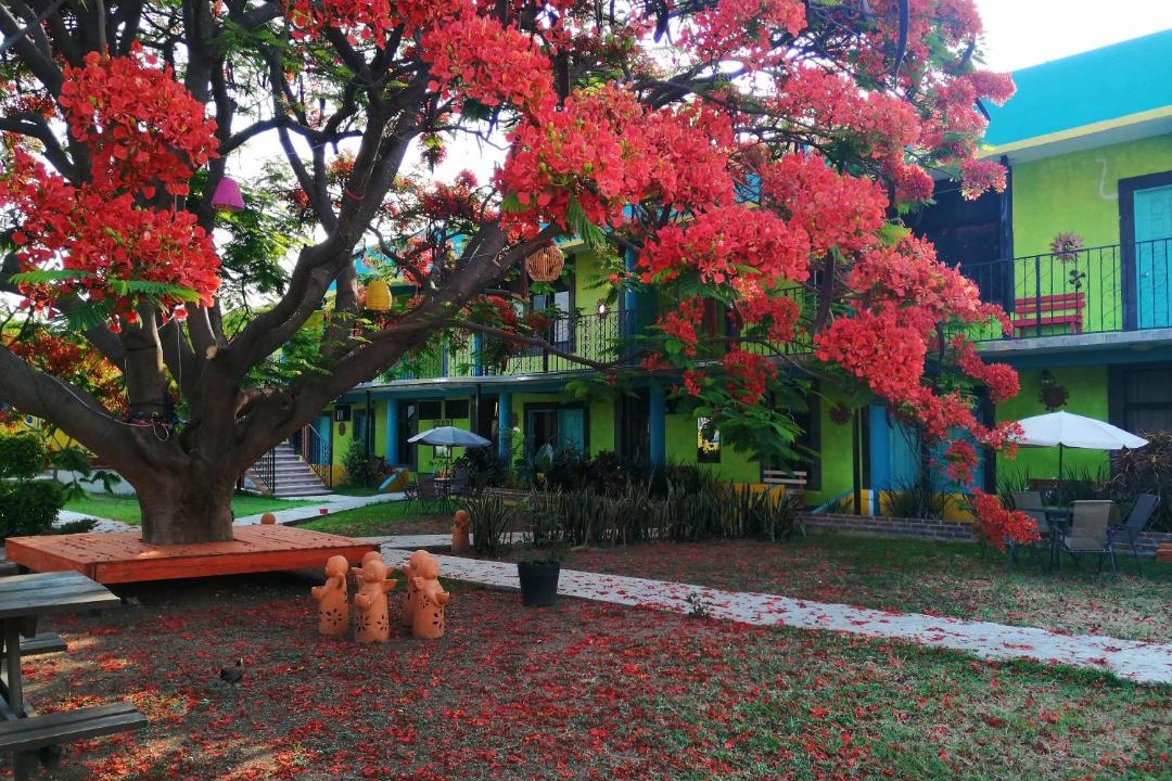 Photo of Others in Tlayacapan