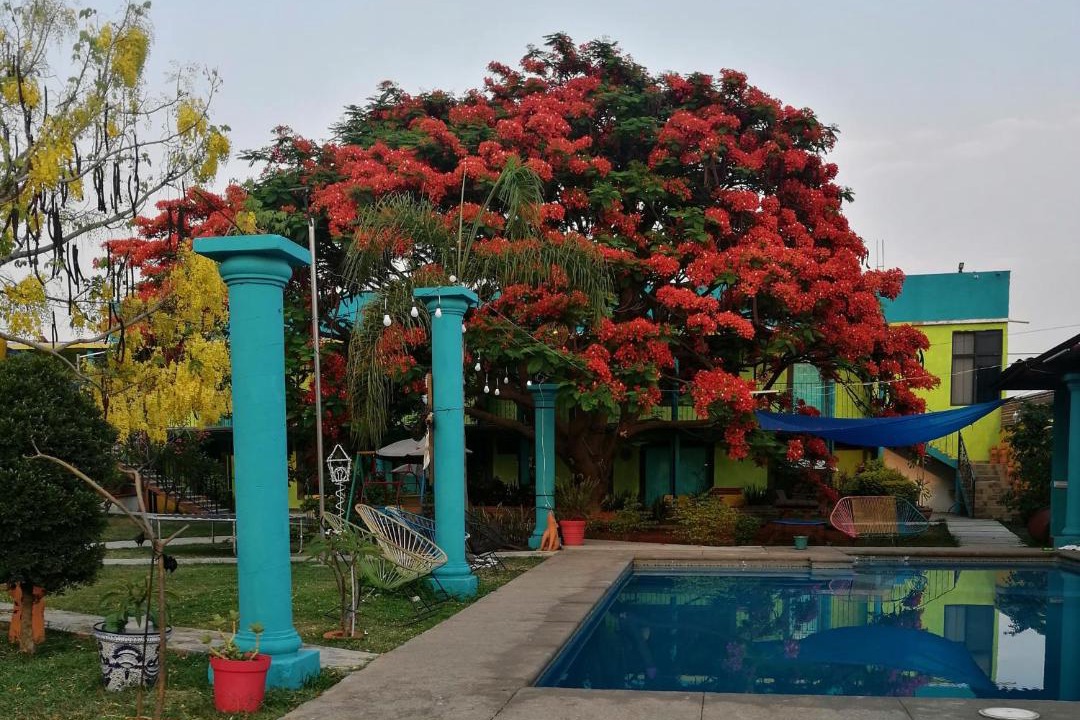 Photo of Outdoor in Tlayacapan
